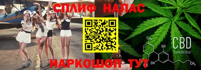 гашик Балашиха