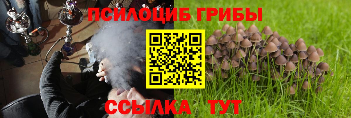 Артёмовский  Галлюциногенные грибы Cubensis  Псилоцибиновые грибы Cubensis  Вход с VPN 